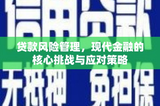 三湾贷款风险管理，现代金融的核心挑战与应对策略