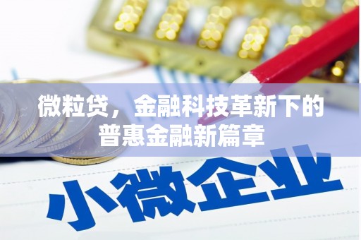 三湾微粒贷，金融科技革新下的普惠金融新篇章