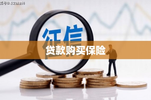 三湾贷款购买保险