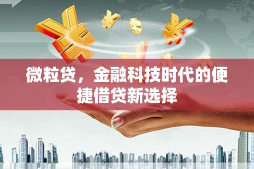 三湾微粒贷，金融科技时代的便捷借贷新选择