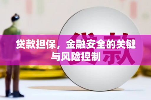三湾贷款担保，金融安全的关键与风险控制