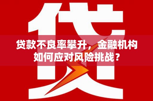 三湾贷款不良率攀升，金融机构如何应对风险挑战？