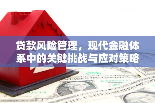 三湾贷款风险管理，现代金融体系中的关键挑战与应对策略