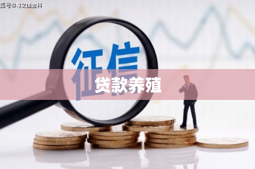 三湾贷款养殖