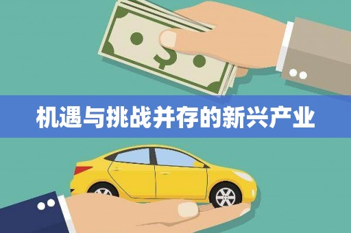 三湾机遇与挑战并存的新兴产业