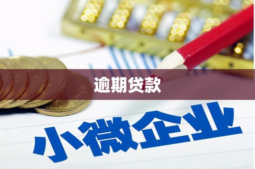三湾逾期贷款