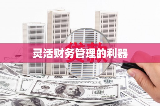 三湾灵活财务管理的利器