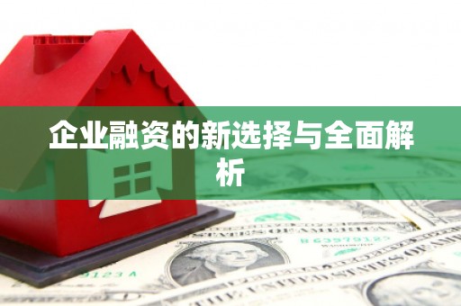 三湾企业融资的新选择与全面解析