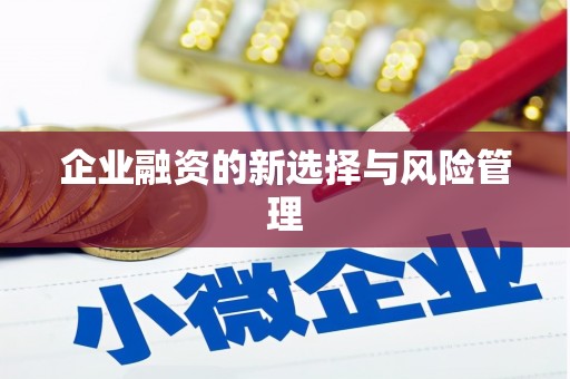 三湾企业融资的新选择与风险管理