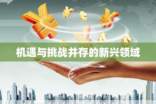 三湾机遇与挑战并存的新兴领域