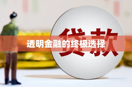 三湾透明金融的终极选择