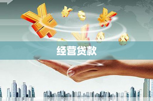 三湾经营贷款
