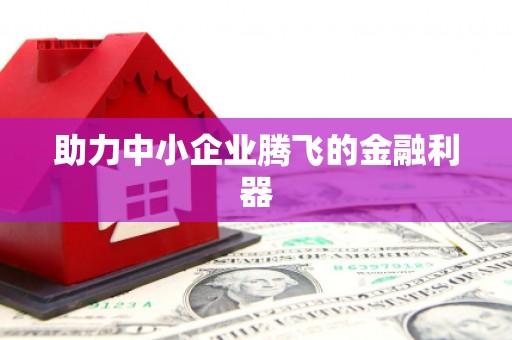 三湾助力中小企业腾飞的金融利器
