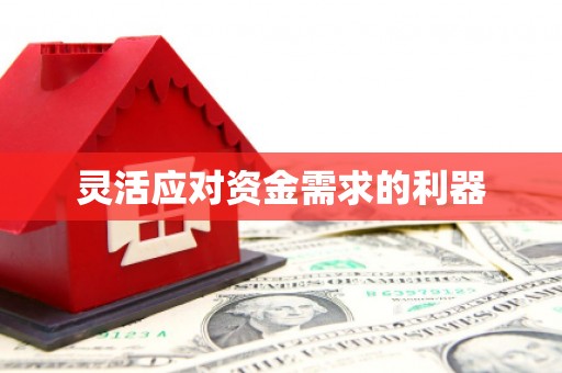 三湾灵活应对资金需求的利器
