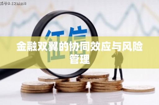 三湾金融双翼的协同效应与风险管理