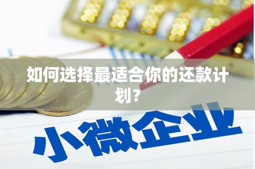 三湾如何选择最适合你的还款计划？