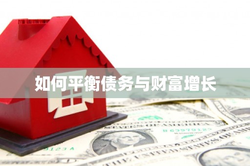 三湾如何平衡债务与财富增长