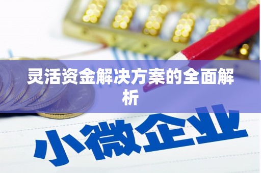 三湾灵活资金解决方案的全面解析