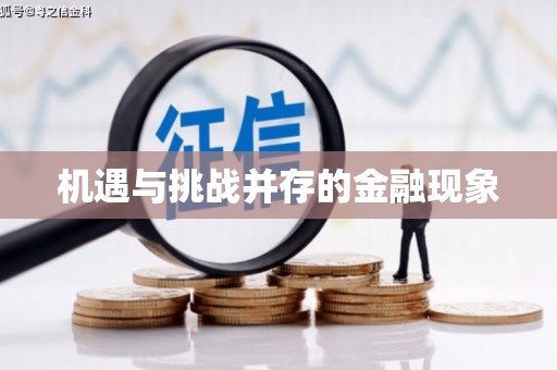 三湾机遇与挑战并存的金融现象
