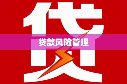 三湾贷款风险管理