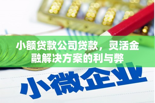 三湾小额贷款公司贷款，灵活金融解决方案的利与弊